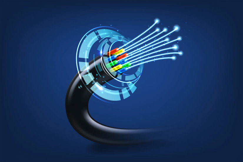 WhatsApp Image 2025-11-05 at 6.33.56 AM